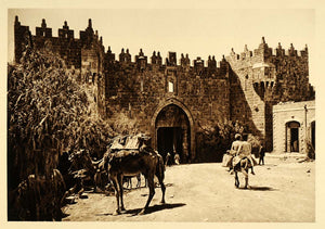 1925 Jerusalem Damascus Gate Camel Lehnert & Landrock - ORIGINAL PS5