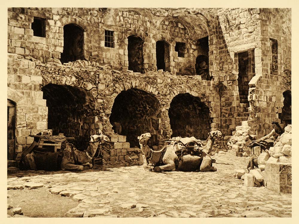 1925 Camels Khan Caravansary Nablus Lehnert & Landrock - ORIGINAL PS5