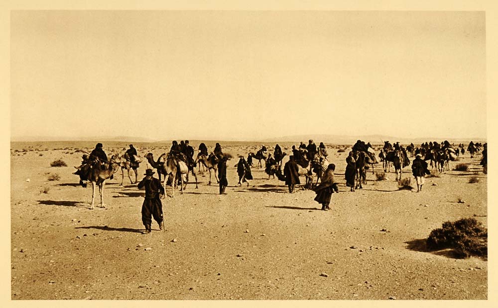 1925 Russian Pilgrims Desert Sinai Camels Photogravure - ORIGINAL PS5