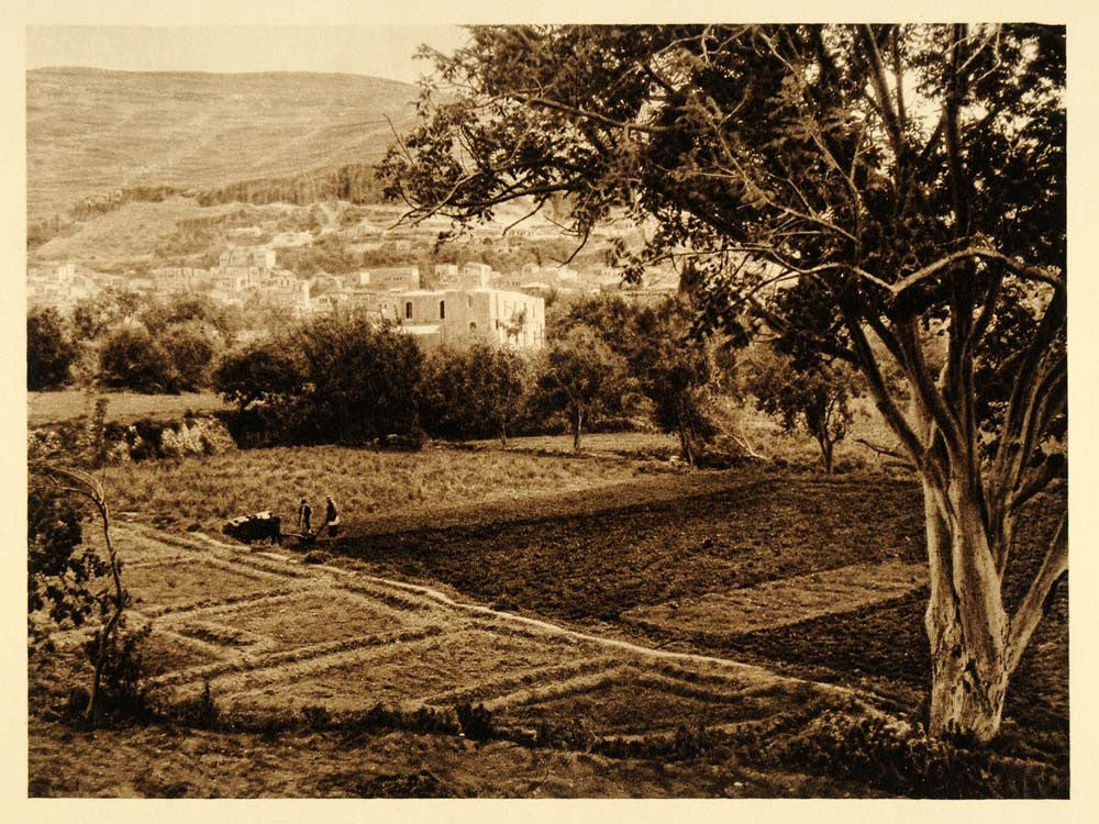 1925 Nablus Nabulus West Bank Palestine Photogravure - ORIGINAL PHOTOGRAVURE PS6 - Period Paper

