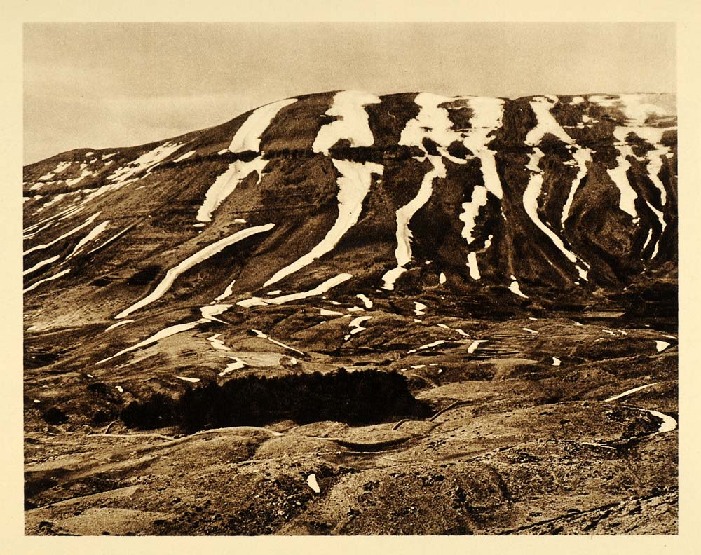 1925 Lebanon Landscape Cedar Grove Mountains Snow - ORIGINAL PHOTOGRAVURE PS6