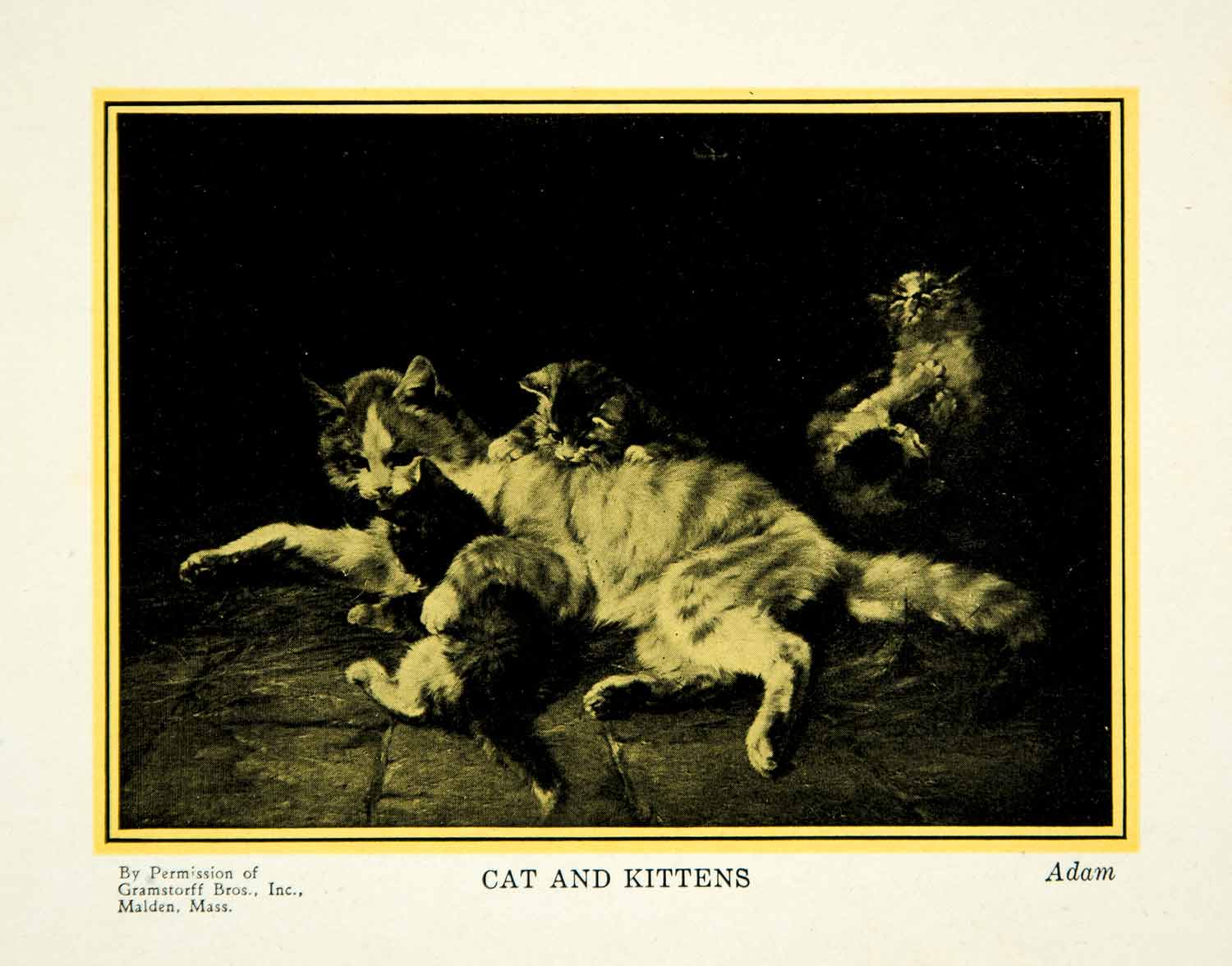 1927 Print Julius Adam II Younger Art Mother Kittens Portrait Cat Pets PSG1