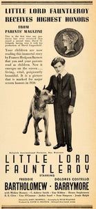 1936 Movie Ad Little Lord Fauntleroy Freddie Batholomew - ORIGINAL PTS1
