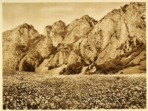 1932 Romania Varful Piatra Cetii Mountain Landscape - ORIGINAL PHOTOGRAVURE RM3