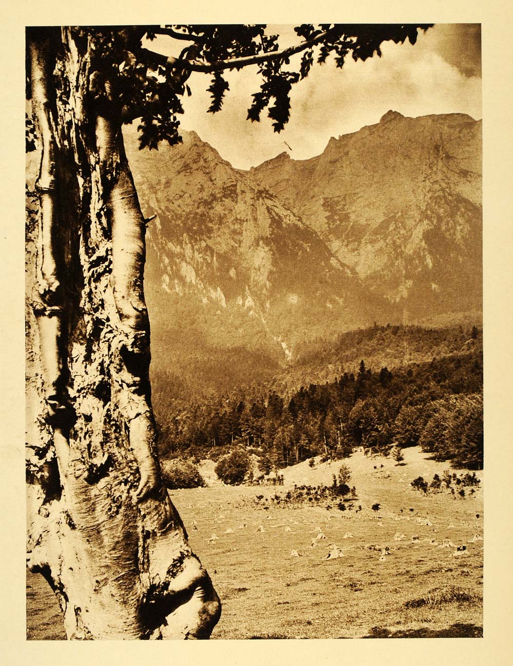 1932 Romania Alba Valley Landscape Bucegi Mountains - ORIGINAL PHOTOGRAVURE RM4