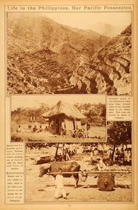 1922 Rotogravure Philippines Terraced Landscape Farming Igorrote Hut Bull Cart