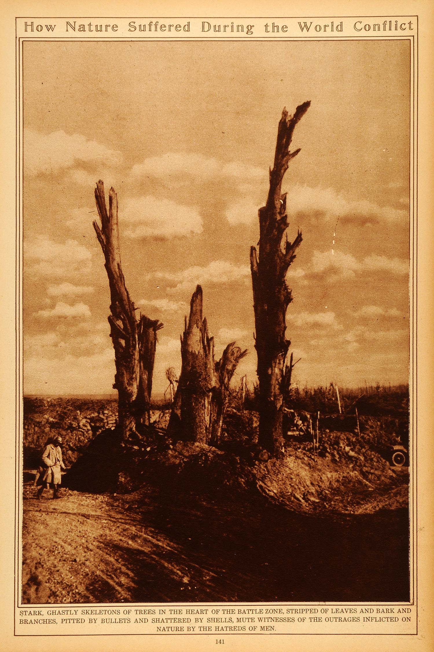 1922 Rotogravure World War I Tree Ruins Destruction Landscape Western Front WWI