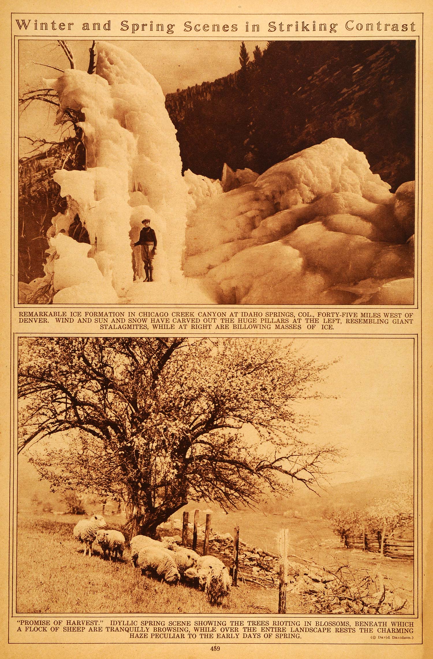 1922 Rotogravure Winter Ice Formation Chicago Creek Canyon CO Landscape Spring