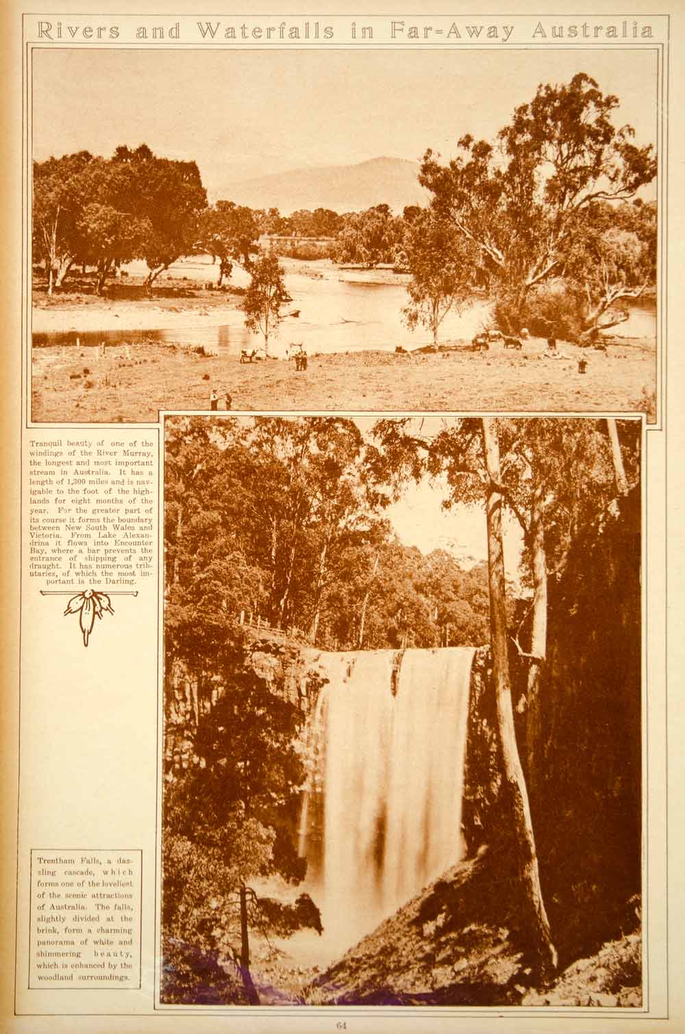 1923 Rotogravure Australia Landscape River Murray Trentham Falls Waterfall