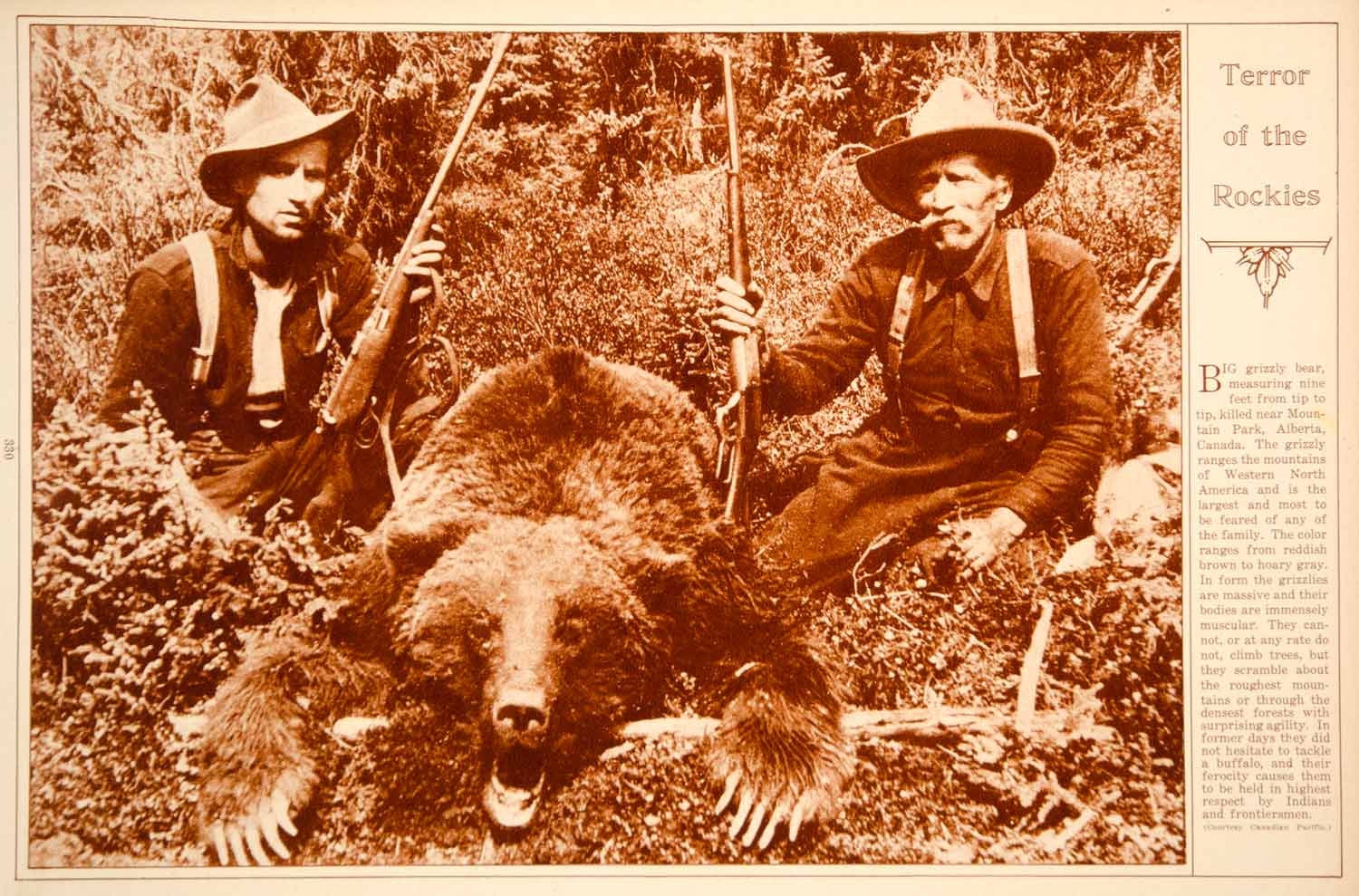 1923 Rotogravure Dead Grizzly Bear Hunters Guns Rocky Mountains Canada Wildlife
