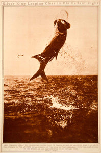 1923 Rotogravure Atlantic Tarpon Silver King Saltwater Game Fish Fishing Hooked