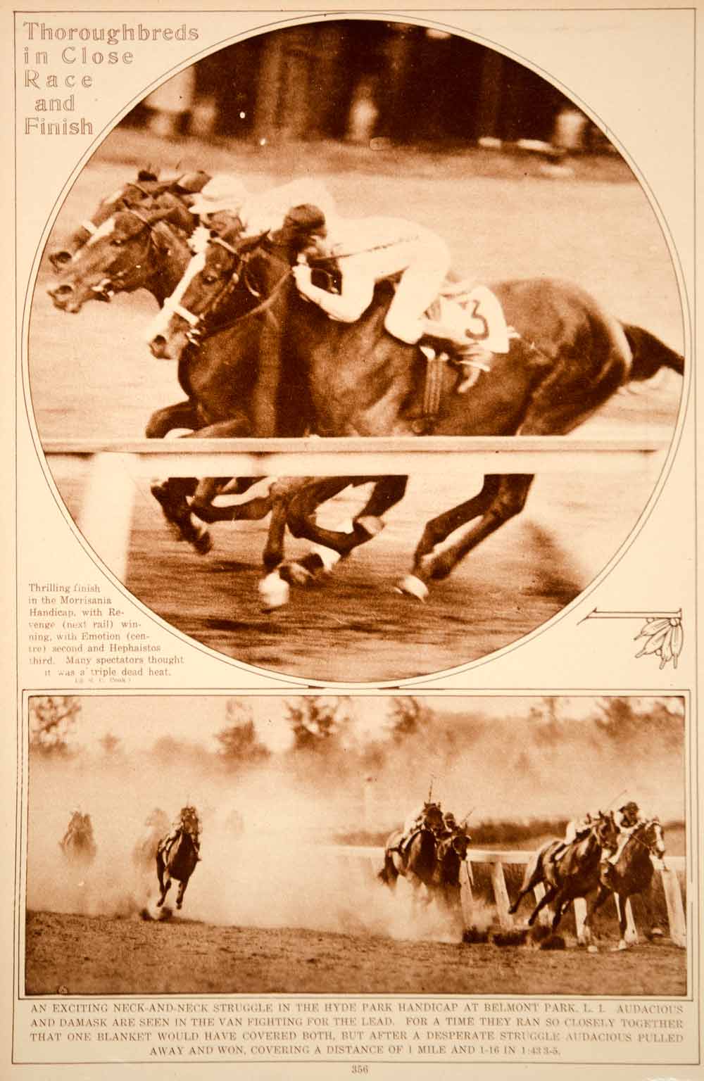 1923 Rotogravure Thoroughbred Horse Racing Races Morrisania Handicap Hyde Park