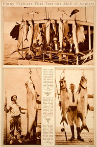 1923 Rotogravure Big Game Fishing Florida Tarpon Mackerel Amberjack Grouper Fish