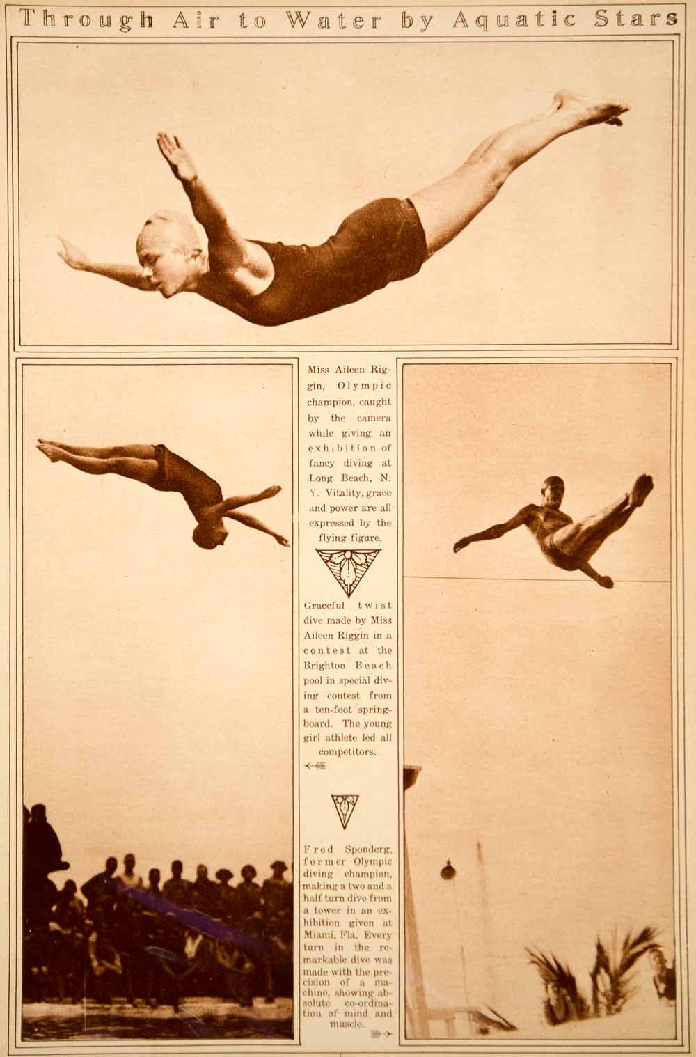 1923 Rotogravure Olympic Diving Aileen Riggin Fred Sponderg Champion Divers Dive