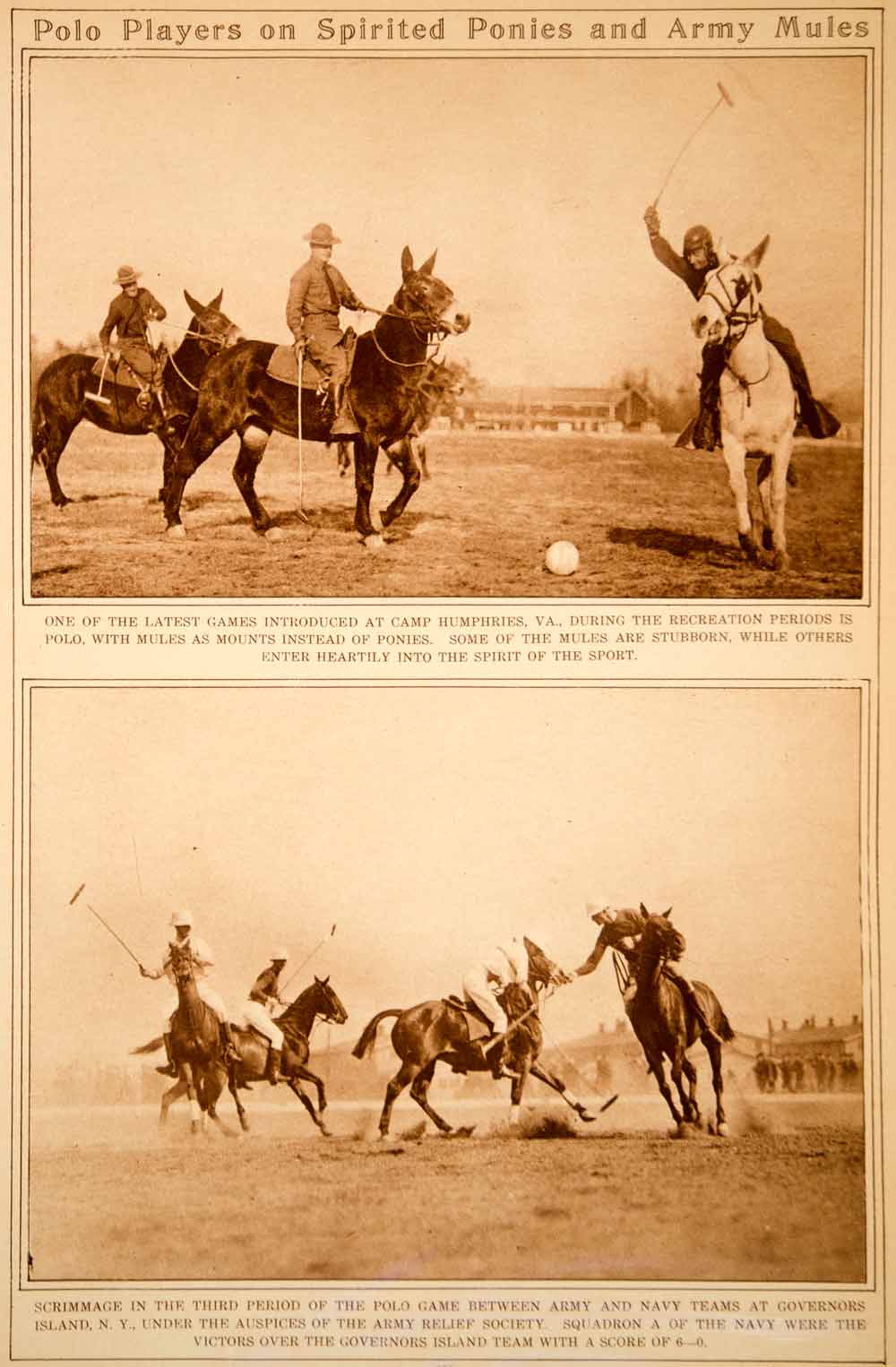 1923 Rotogravure Polo Players Game Army Navy Teams Mules Ponies Horseback Sport