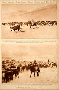 1923 Rotogravure Cowboys Cow Pony Cattle Ranching Roundup Drive Herd Old West