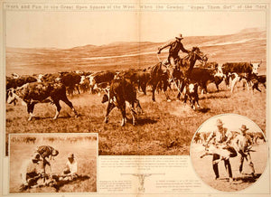 1923 Rotogravure Cattle Herding Roping Cowboy Cowpuncher Branding American West