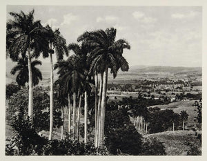 1931 Valle Yumuri Valley Cuba Landscape Photogravure - ORIGINAL PHOTOGRAVURE SA2