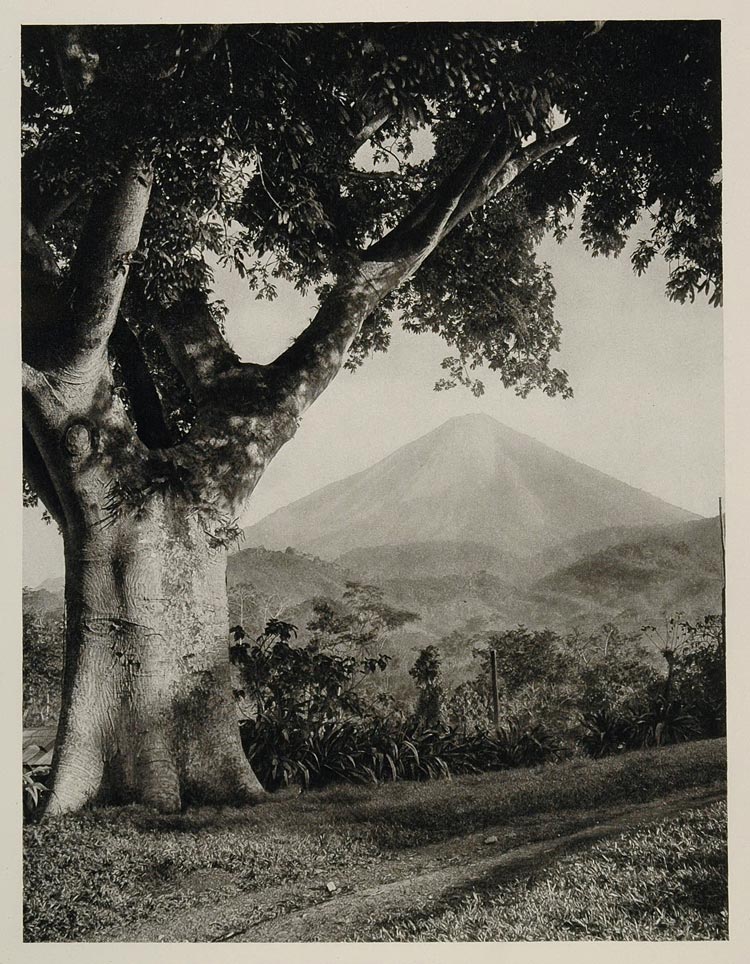 1931 Volcan Atitlan Volcano Guatemala Highlands Tree - ORIGINAL PHOTOGRAVURE SA2