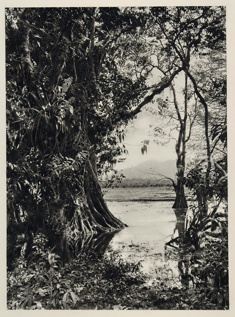 1931 Lake Lago Yojoa Swampland Honduras Photogravure - ORIGINAL PHOTOGRAVURE SA2