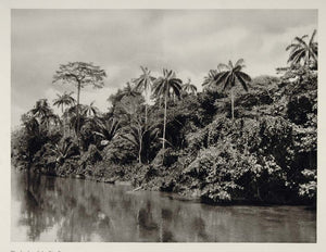 1931 Rio Branco White River Amazon Brazil Photogravure - ORIGINAL SA2