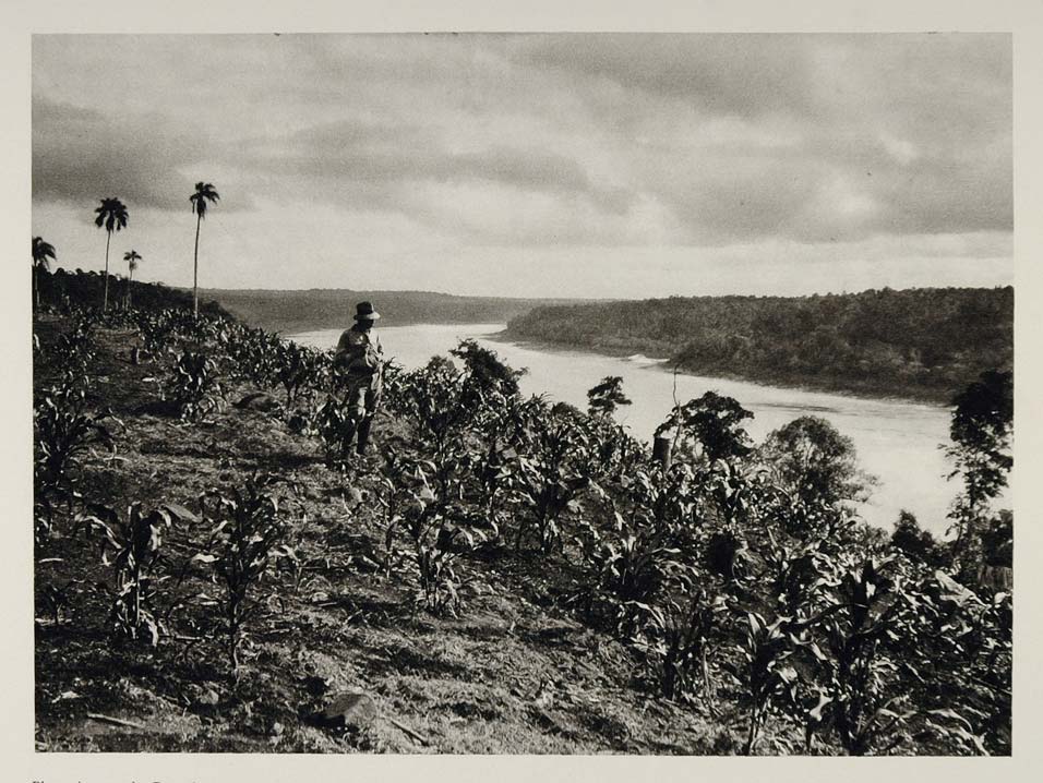 1931 Argiculture Farmer Field Rio Parana River Agentina - ORIGINAL SA2