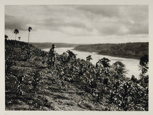 1931 Argiculture Farmer Field Rio Parana River Agentina - ORIGINAL SA2