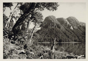 1931 Puerto Blest Nahuel Huapi Lago Lake Argentina - ORIGINAL PHOTOGRAVURE SA2