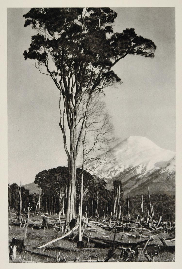 1931 Volcan Osorno Active Volcano Chile Photogravure - ORIGINAL PHOTOGRAVURE SA2