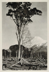 1931 Volcan Osorno Active Volcano Chile Photogravure - ORIGINAL PHOTOGRAVURE SA2