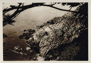 1924 Kullaberg River Water Art Scania Skane Sweden Sverige Photogravure Tree SC1