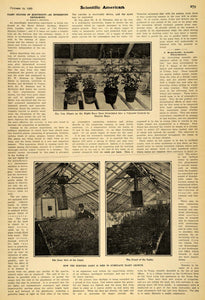 1907 Article Plant Culture via Electricity Greenhouse - ORIGINAL SCA1