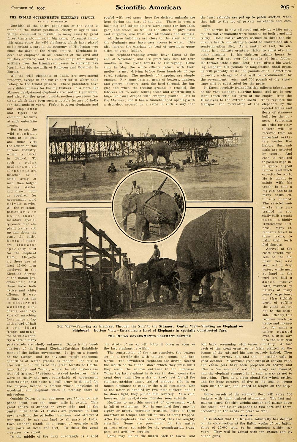 1907 Article Indian Government Elephant Service India - ORIGINAL SCA1