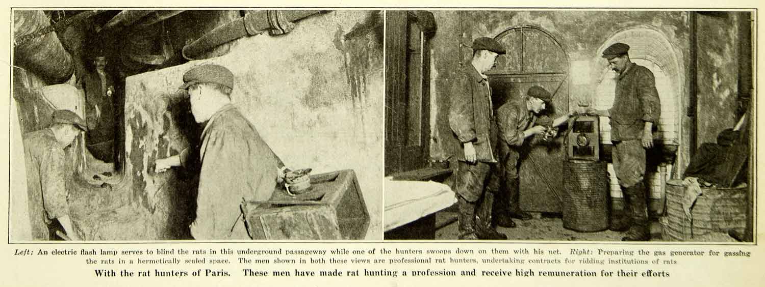 1921 Print Paris France French Professional Rat Hunters Toxic Gas Historic SCA5