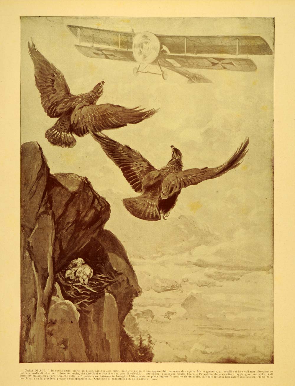 1921 Eagle Nest Eaglets Vintage Biplane Airplane Print - ORIGINAL SCI1