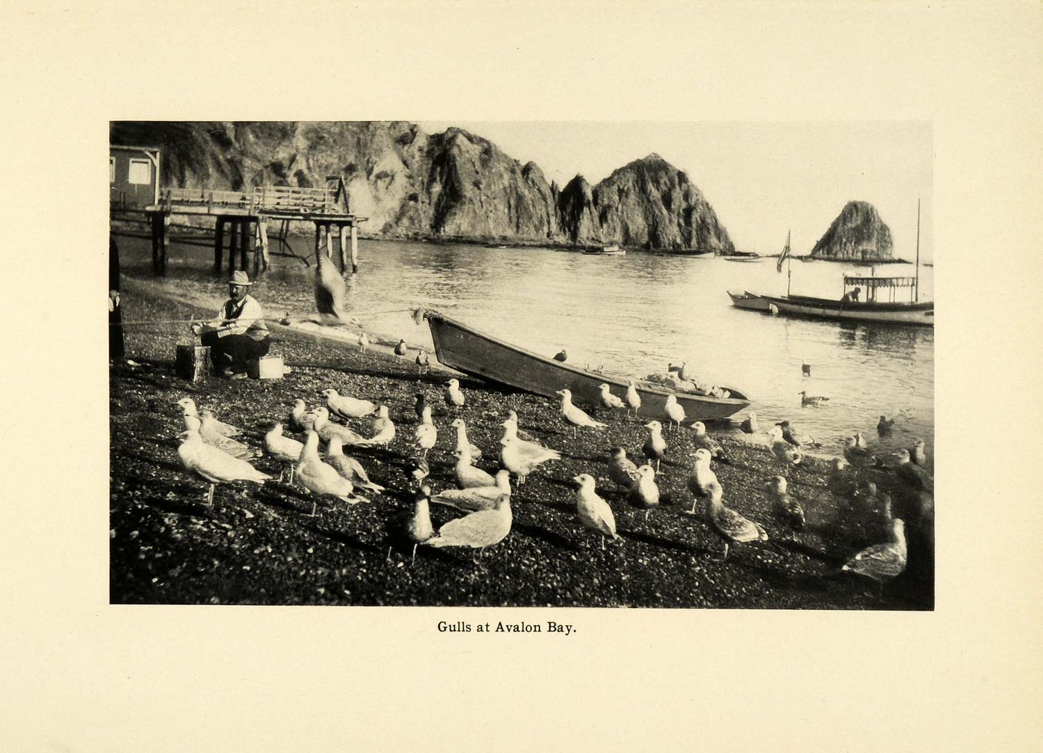 1906 Print Avalon Bay Santa Catalina Island Landscape Seagulls Boats Marine SCP1