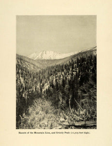 1906 Print Grizzly Peak Mountain Lion Summit Pitkin County Colorado SCP1