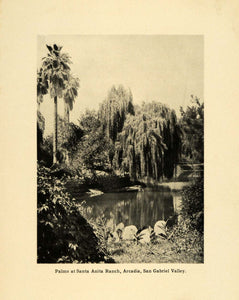 1906 Print Santa Anita Ranch Landscape Architecture San Gabriel Valley SCP1