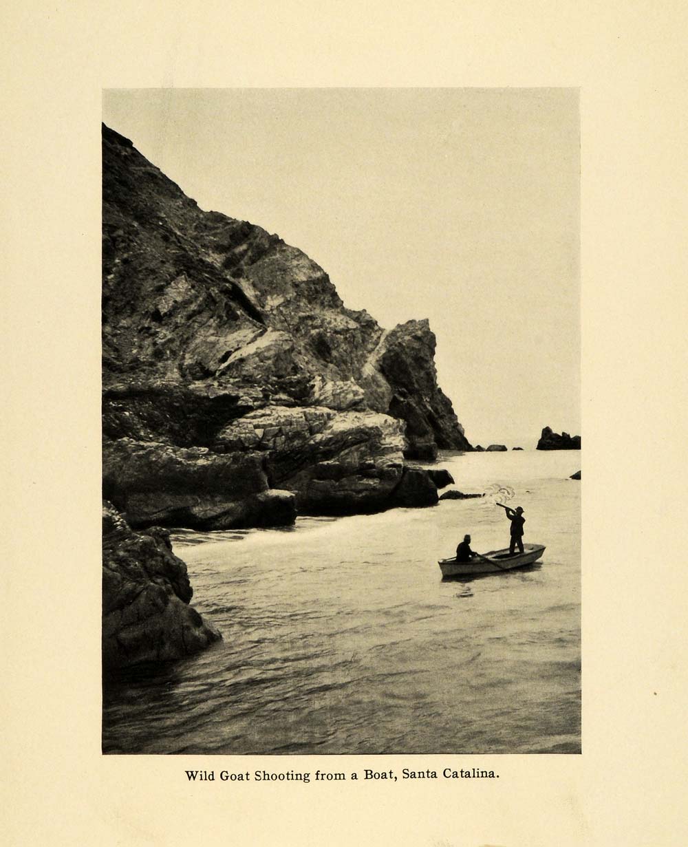 1906 Print Mountain Goat Hunting Boat Santa Catalina California Wild SCP1