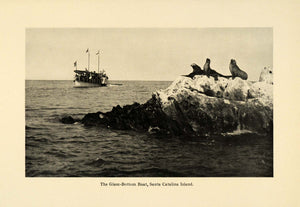 1906 Print Glass Bottom Boat Santa Catalina California Sea Lions Marine SCP1