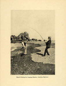 1906 Print Beach Fishing Leaping Sharks Catalina Harbour California SCP1