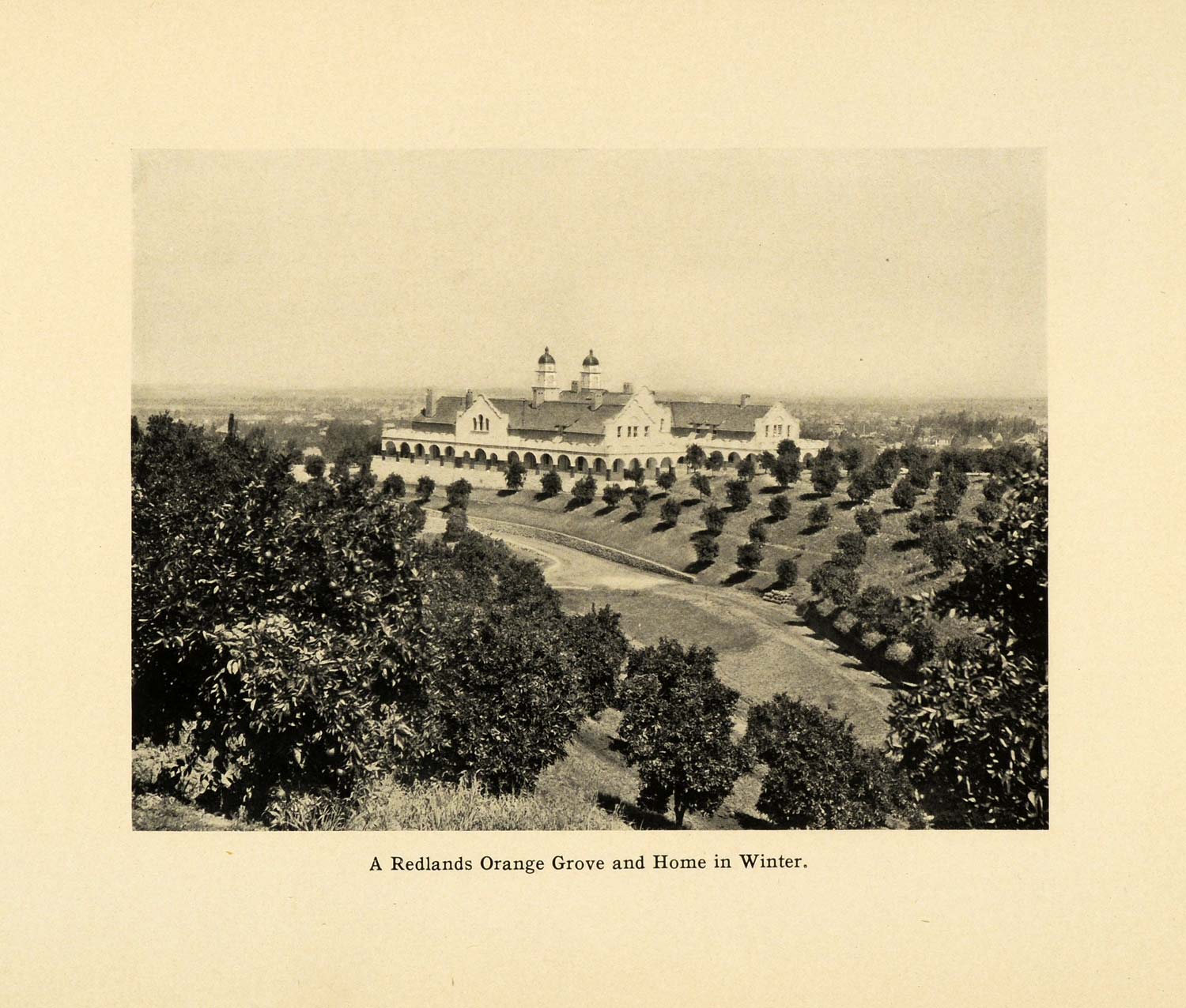 1906 Print Redlands California Orange Grove Burrage Mansion Historic Image SCP1