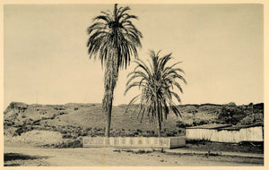 1887 Palm Trees San Diego CA Presidio Hill Herve Friend - ORIGINAL SD1