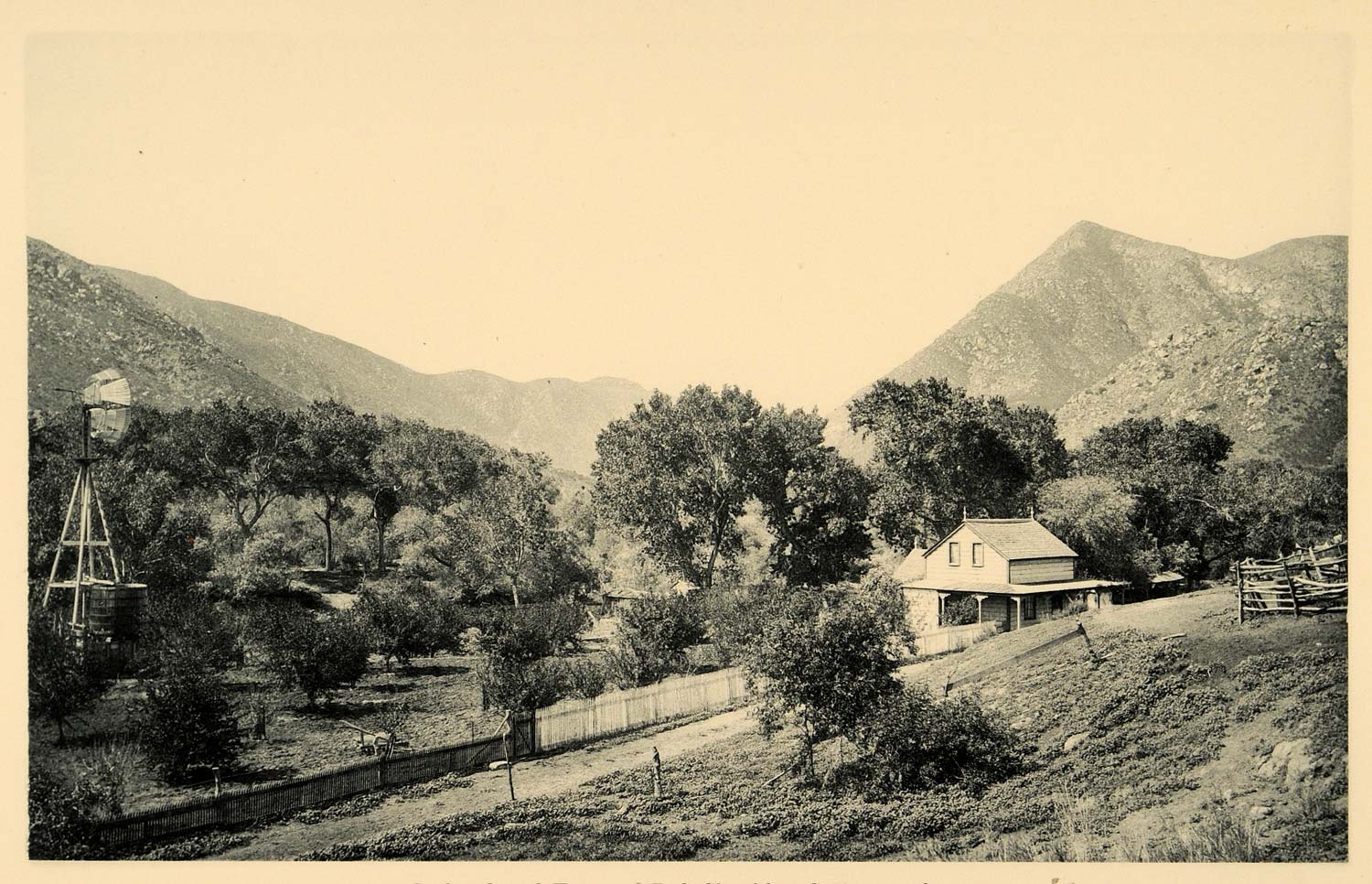 1887 Orchard B.S. Sheckler Cottonwood San Diego County - ORIGINAL SD1
