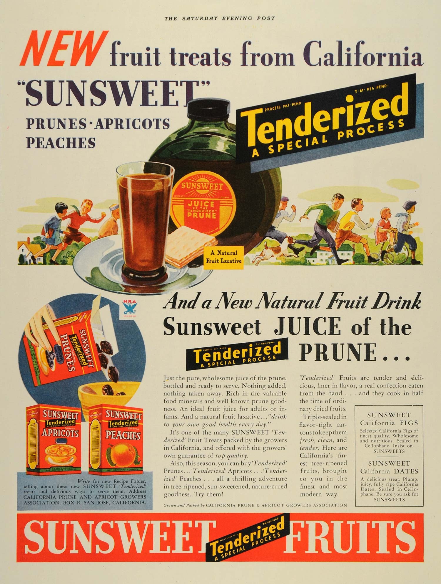 1934 Ad SunSweet Prunes Box Juice Green Glass Bottles - ORIGINAL SEP3 - Period Paper
