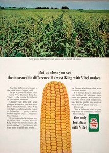1966 Ad V-C Harvest King Corn Fertilizer Pasture Soil Vitel Farmer Farming SF1