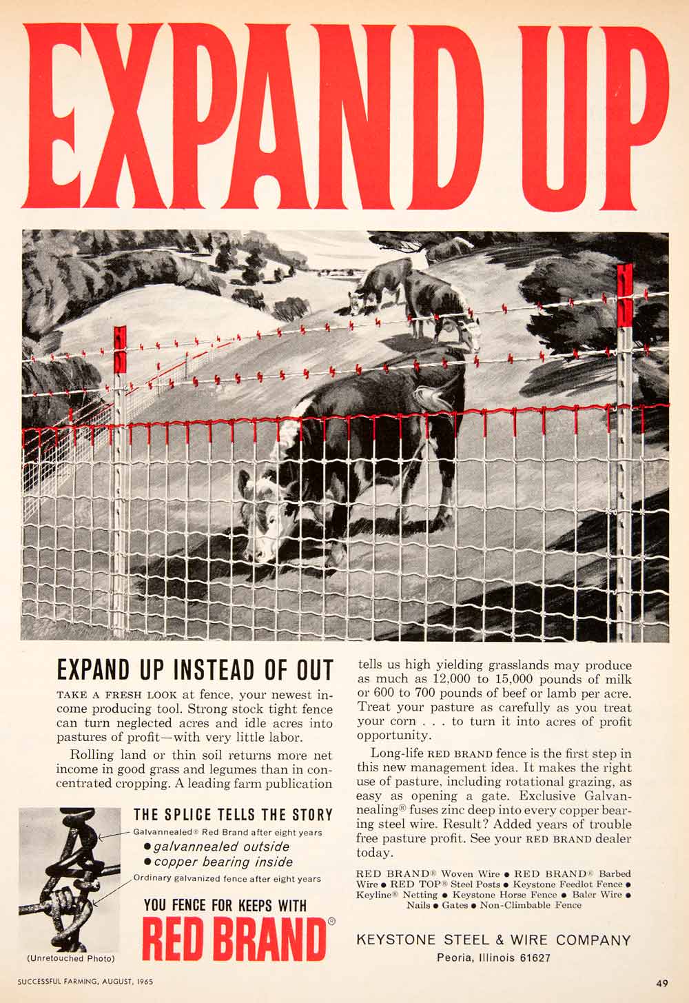 1965 Ad Red Brand Keystone Steel Wire Peoria Illinois Cow Pasture Field SF1