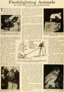 1920 Article Imp Flashlight Gun Camera Wildlife Animal Photography SI1