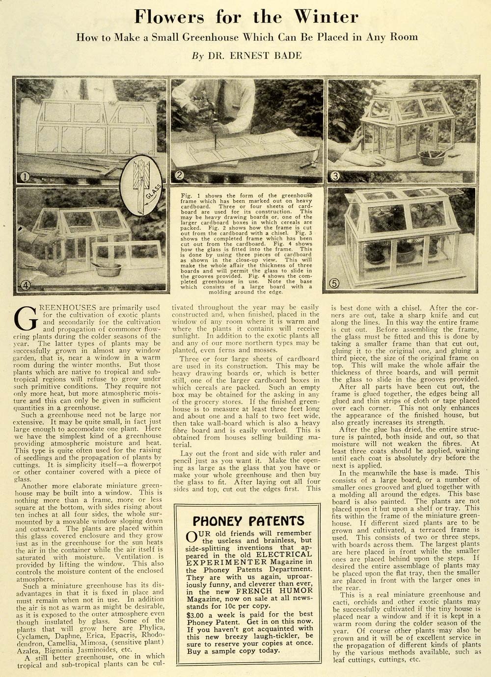 1927 Article Flowers Winter Ernest Bade Greenhouse Garden Frame Botanical SI1