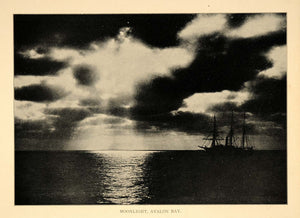 1906 Print Avalon Bay Moonlight Night Ship Santa Catalina Island Historic Image